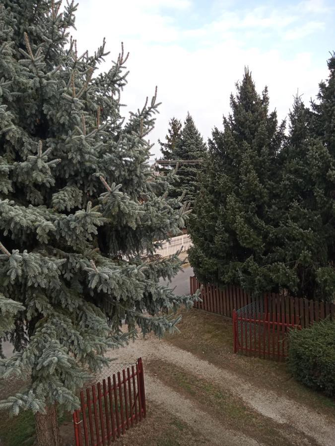 Borostyan Vendeghaz Lägenhet Balatonkeresztúr Exteriör bild